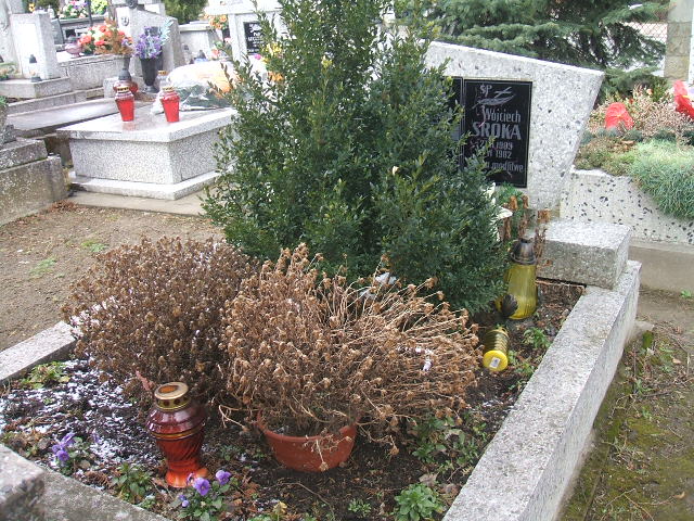 Bronisław Sroka 1936 Stary Sącz - Grobonet - Wyszukiwarka osób pochowanych