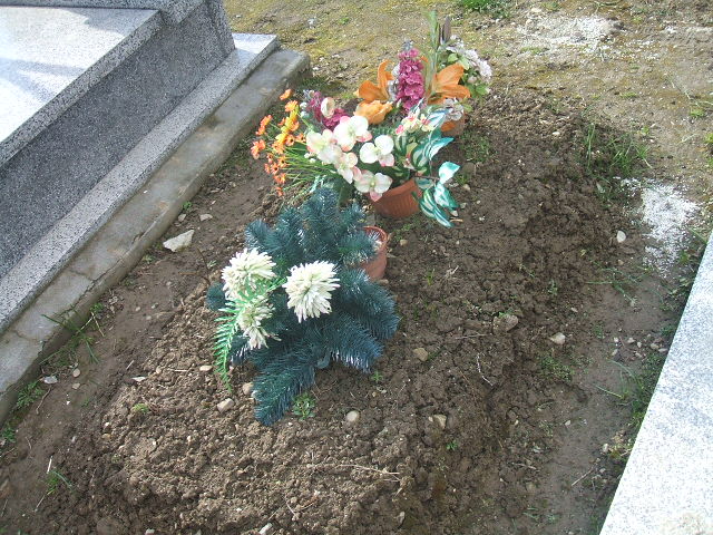 Józefa Cięciel 1913 Stary Sącz - Grobonet - Wyszukiwarka osób pochowanych