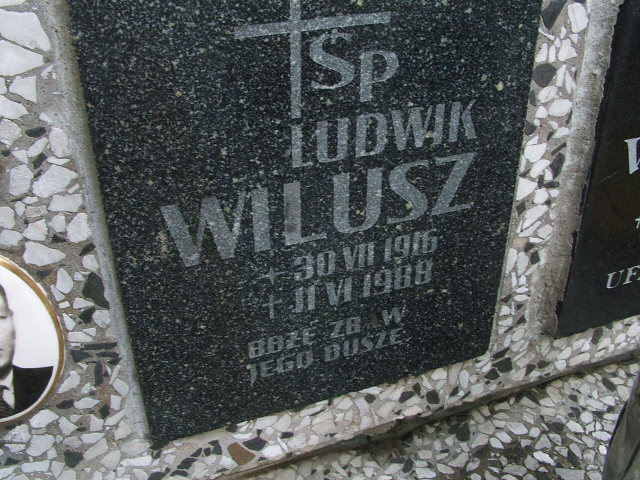 Grób Ludwik Wilusz