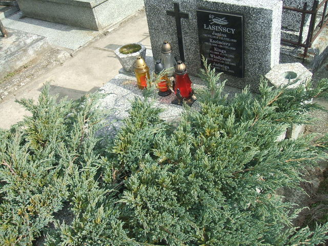 Jadwiga Łasińska 1921 Stary Sącz - Grobonet - Wyszukiwarka osób pochowanych