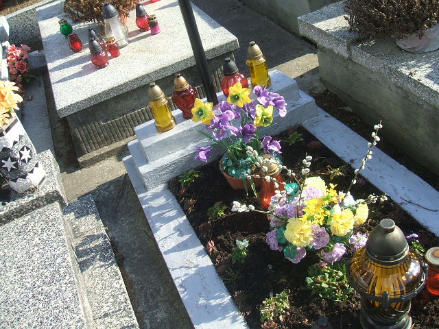 Wojciech Majda 1892 Stary Sącz - Grobonet - Wyszukiwarka osób pochowanych